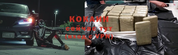 крисы Белоозёрский