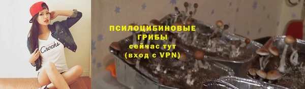 jwh Белокуриха