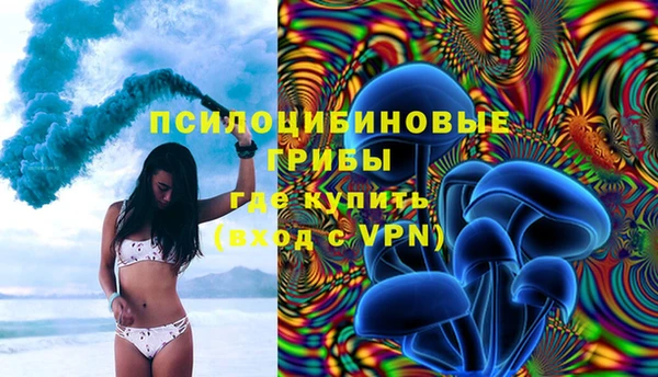 jwh Белокуриха