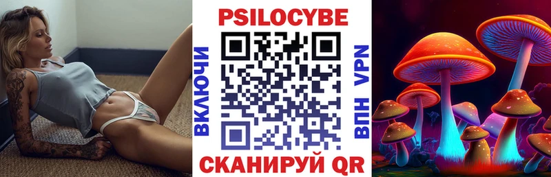Псилоцибиновые грибы прущие грибы  дарнет шоп  Белая Холуница 